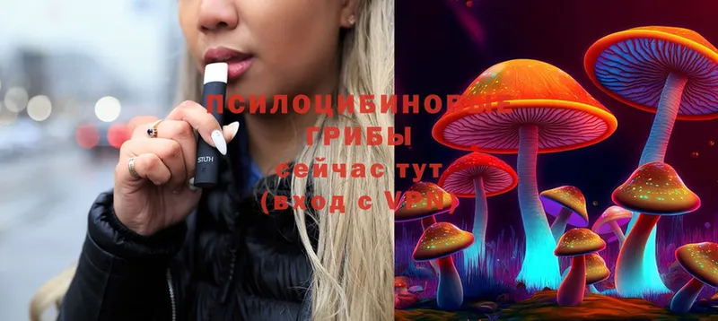 Галлюциногенные грибы Magic Shrooms  Набережные Челны 