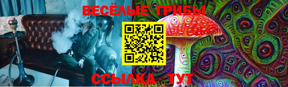 Псилоцибиновые грибы Psilocybe  закладка  Набережные Челны  Вход с VPN 